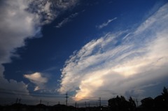 雲、獲物を追う