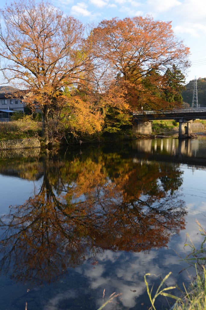 紅葉、川面に映って
