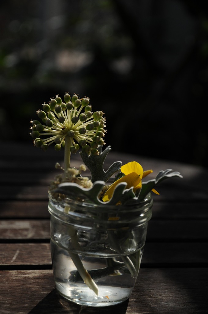 暖かさ、コップ一杯