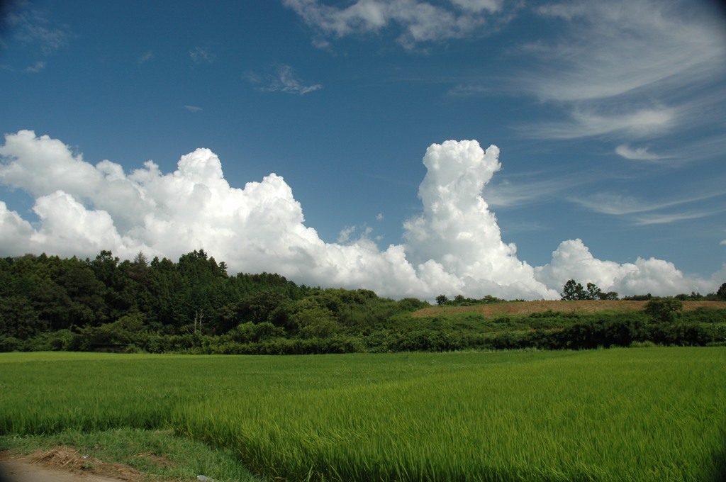 夏雲、気持ちいい