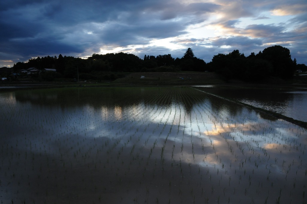 田植えが終わって、夕暮れ
