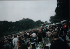 in a crowd