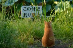 まじかよ？夕飯どーしよ...