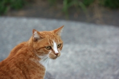 DSC04658