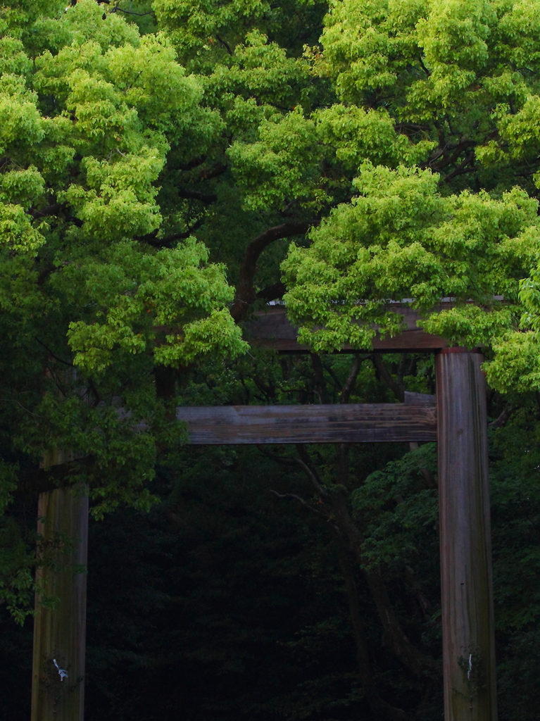 熱田の杜