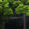 熱田の杜