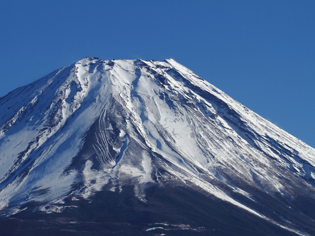 ＦＵＪＩＹＡＭＡ