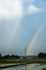 DOUBLE　RAINBOW