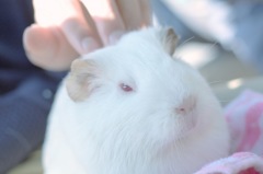 そこそこ
