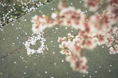 four you