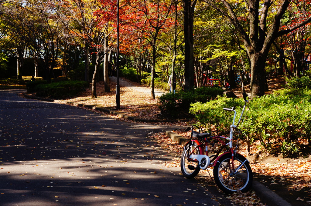 公園