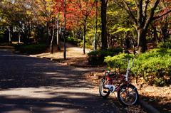 公園