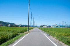 田舎道