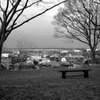 monochrome‐bench