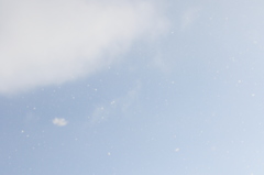 元旦の雪