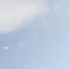 元旦の雪