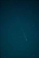 やっと紫金山アトラス彗星