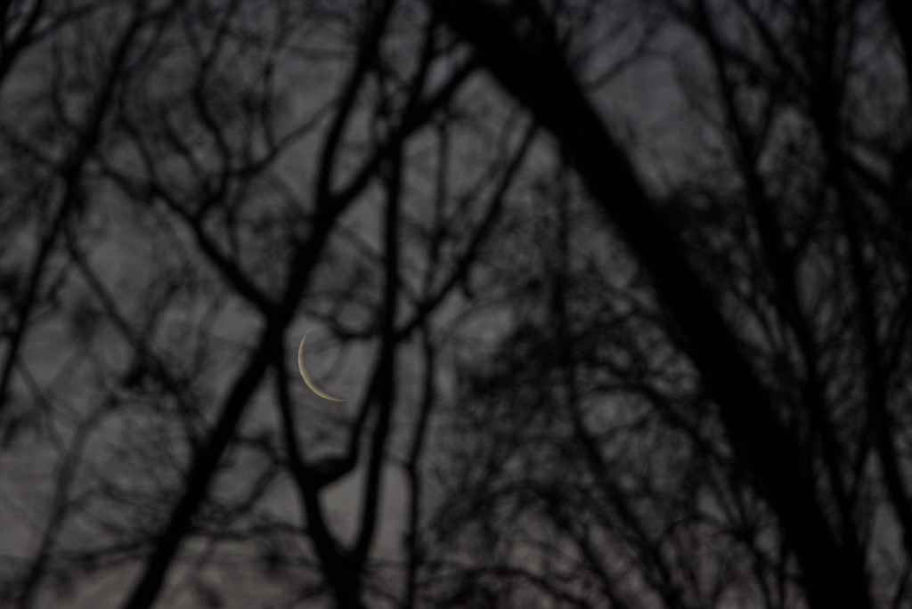 ムーンフェイス