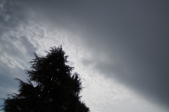 梅雨と夏のはざま