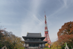 12年前の紅葉②