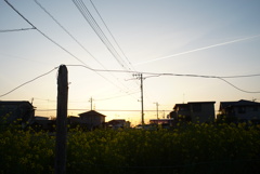 夕暮れの街