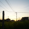 夕暮れの街