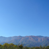 空と山と林檎畑