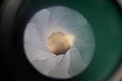 CHIYOKO SUPER ROKKOR 5cm F1.8でなに撮ろう