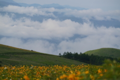 記憶の中の車山高原