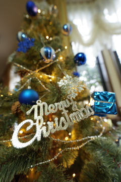 メリー・クリスマス