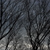 オールドレンズ遊び No.16-3