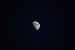 月齢9日