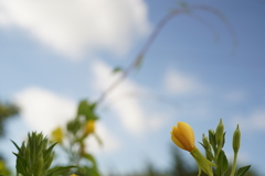 晩夏のばか〜っ！