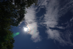 太陽と彩雲とゴーストと