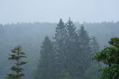 激しすぎる驟雨