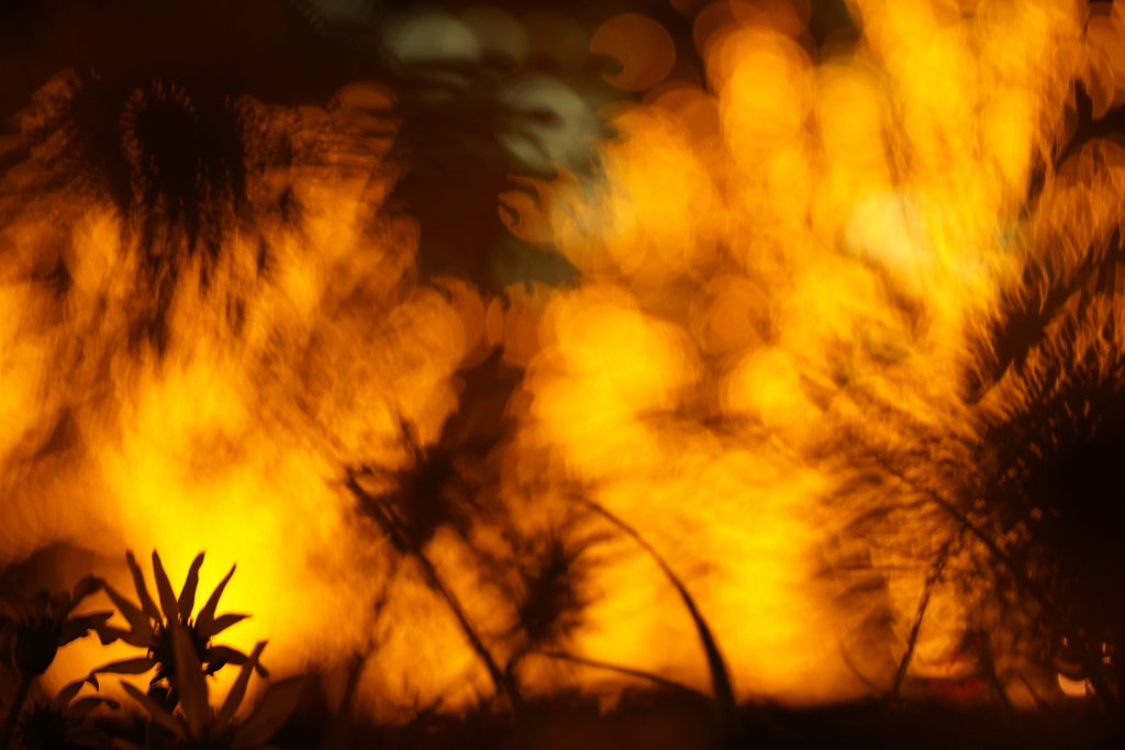 「もえる」イルミネーション