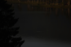早朝の白樺湖