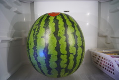 ４Ｌサイズの笑撃