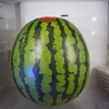 ４Ｌサイズの笑撃