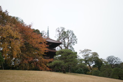 12年前の紅葉①