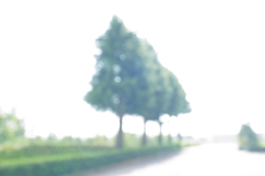 光の抱擁