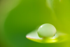 こっちの水は甘いぞ。