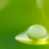 こっちの水は甘いぞ。