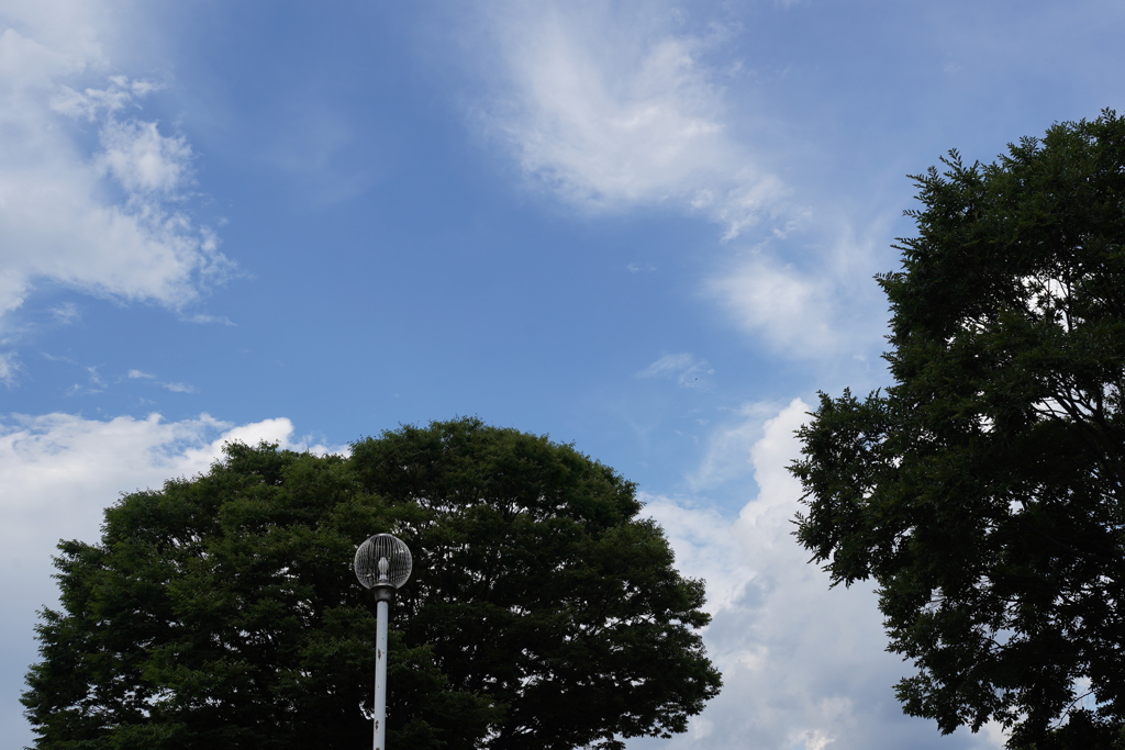 とある公園