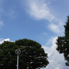 とある公園