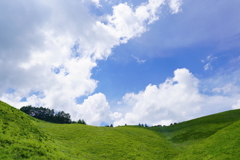 高原へようこそ！