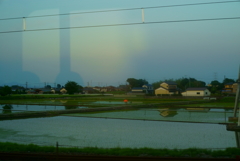 田んぼに沈む太陽