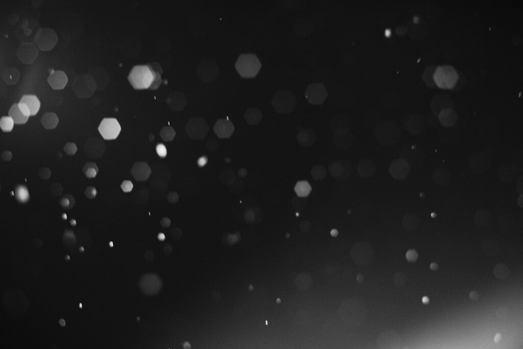 雪が降る
