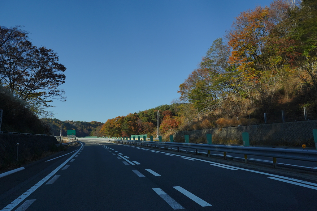 秋道④