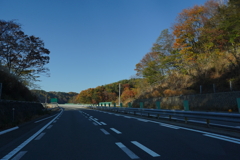 秋道④